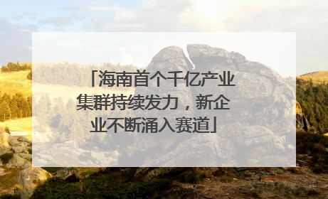 海南首个千亿产业集群持续发力，新企业不断涌入赛道