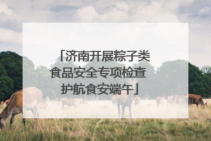 济南开展粽子类食品安全专项检查 护航食安端午