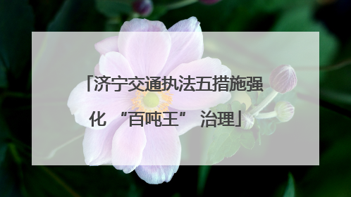 济宁交通执法五措施强化 “百吨王” 治理