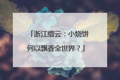 浙江缙云：小烧饼何以飘香全世界？