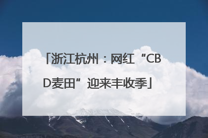 浙江杭州：网红“CBD麦田”迎来丰收季