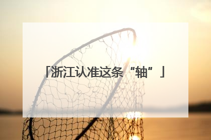 浙江认准这条“轴”