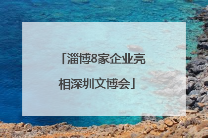 淄博8家企业亮相深圳文博会