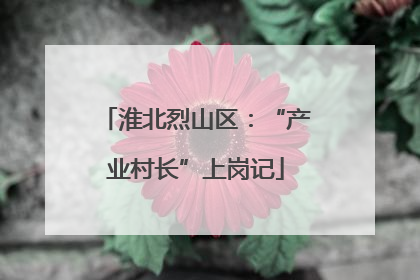 淮北烈山区：“产业村长”上岗记