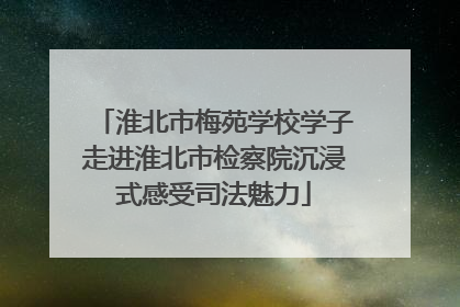 淮北市梅苑学校学子走进淮北市检察院沉浸式感受司法魅力