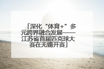 深化“体育+”多元跨界融合发展——江苏省首届匹克球大赛在无锡开赛