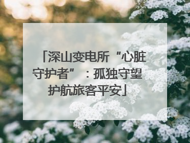 深山变电所“心脏守护者”：孤独守望护航旅客平安