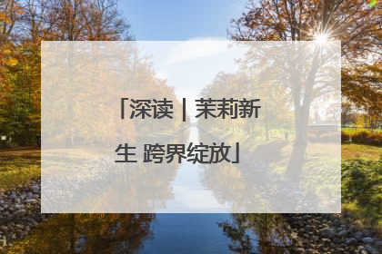 深读｜茉莉新生 跨界绽放