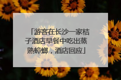 游客在长沙一家桔子酒店早餐中吃出蒸熟蟑螂，酒店回应
