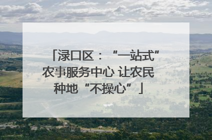 渌口区：“一站式”农事服务中心 让农民种地“不操心”