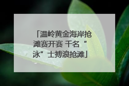温岭黄金海岸抢滩赛开赛 千名“泳”士搏浪抢滩