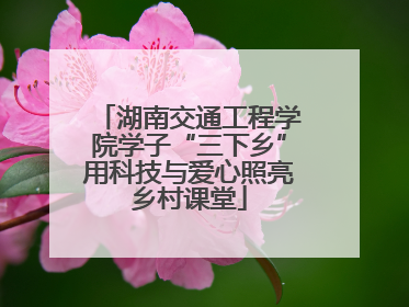 湖南交通工程学院学子“三下乡”用科技与爱心照亮乡村课堂