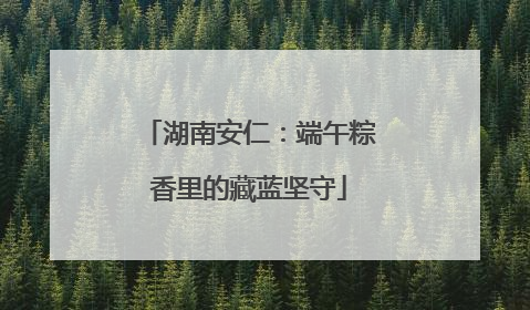 湖南安仁：端午粽香里的藏蓝坚守
