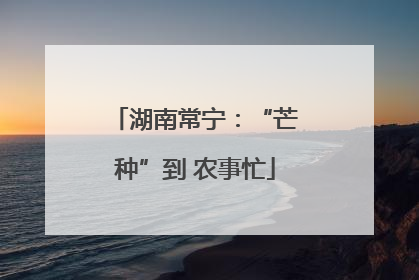 湖南常宁：“芒种”到 农事忙