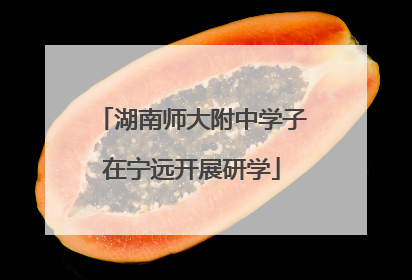 湖南师大附中学子在宁远开展研学