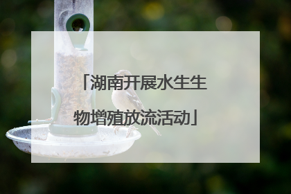 湖南开展水生生物增殖放流活动