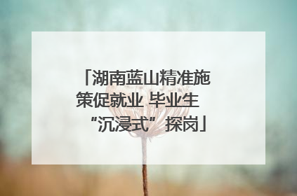 湖南蓝山精准施策促就业 毕业生“沉浸式”探岗