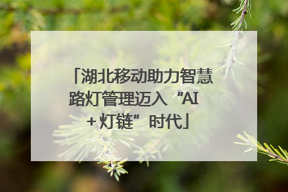 湖北移动助力智慧路灯管理迈入“AI＋灯链”时代