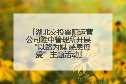 湖北交投襄阳运营公司隆中管理所开展“以路为媒 感恩母爱”主题活动