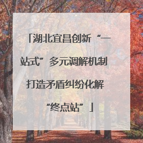 湖北宜昌创新“一站式”多元调解机制 打造矛盾纠纷化解“终点站”