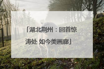 湖北荆州：回首惊涛处 如今美画廊