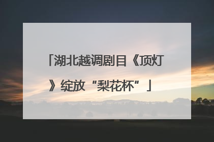 湖北越调剧目《顶灯》绽放“梨花杯”