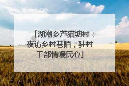 湖潮乡芦猫塘村：夜访乡村巷陌，驻村干部情暖民心