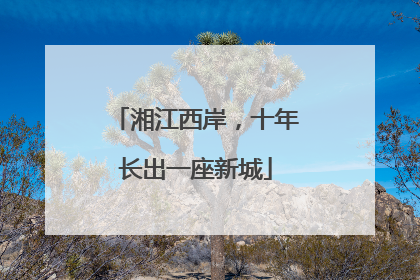 湘江西岸，十年长出一座新城