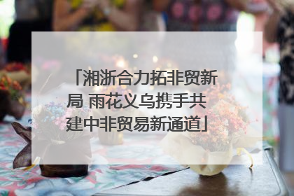 湘浙合力拓非贸新局 雨花义乌携手共建中非贸易新通道