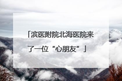 滨医附院北海医院来了一位“心朋友”