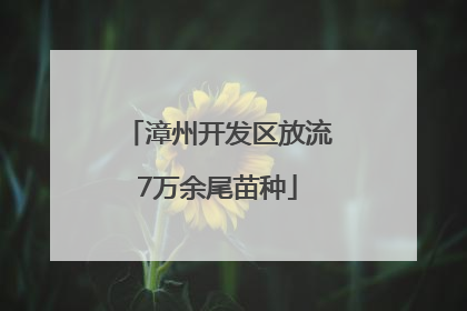 漳州开发区放流7万余尾苗种