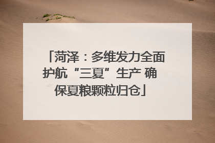 菏泽：多维发力全面护航“三夏”生产 确保夏粮颗粒归仓