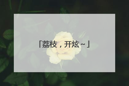 荔枝，开炫～