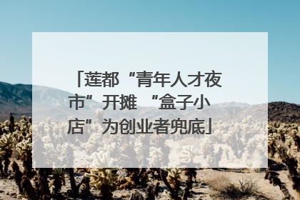 莲都“青年人才夜市”开摊 “盒子小店”为创业者兜底