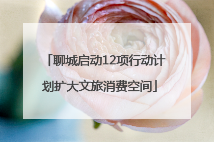 聊城启动12项行动计划扩大文旅消费空间