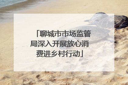 聊城市市场监管局深入开展放心消费进乡村行动