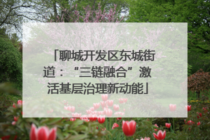 聊城开发区东城街道：“三链融合”激活基层治理新动能