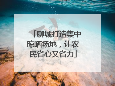 聊城打造集中晾晒场地，让农民省心又省力