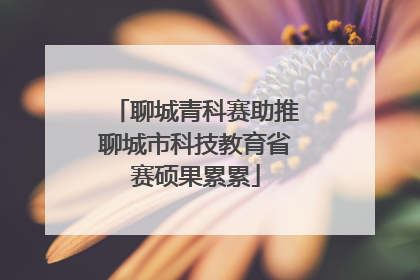 聊城青科赛助推聊城市科技教育省赛硕果累累