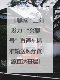聊城：三向发力 “兴聊号”直通车精准输送医疗资源直达基层