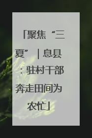 聚焦“三夏”｜息县：驻村干部奔走田间为农忙