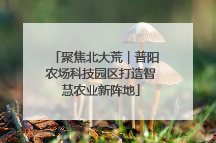 聚焦北大荒｜普阳农场科技园区打造智慧农业新阵地
