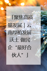 聚焦高质量发展｜云南厚植发展沃土 做民企“最好合伙人”