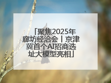 聚焦2025年廊坊经洽会丨京津冀首个AI招商选址大模型亮相