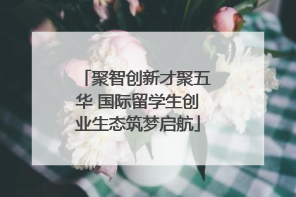 聚智创新才聚五华 国际留学生创业生态筑梦启航