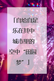 自给自足 乐在其中 城市里的空中“田园梦”
