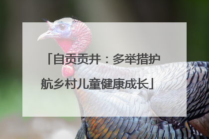自贡贡井：多举措护航乡村儿童健康成长