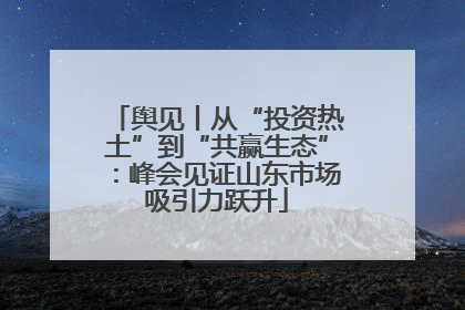 舆见丨从“投资热土”到“共赢生态”：峰会见证山东市场吸引力跃升