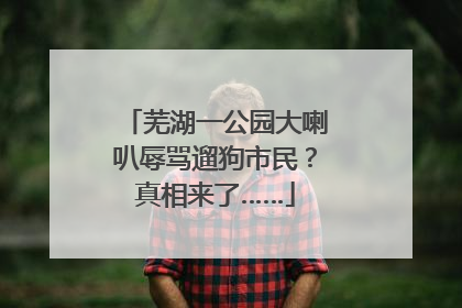 芜湖一公园大喇叭辱骂遛狗市民？真相来了……