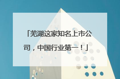 芜湖这家知名上市公司，中国行业第一！